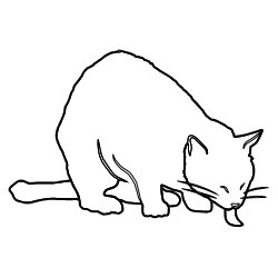 Cat_10.svg