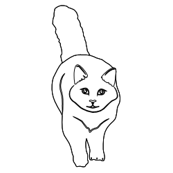 Cat_14.svg