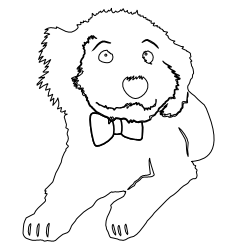 Afghan_Poodle_1.svg