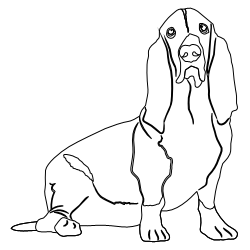 Bassett_Hound_2.svg