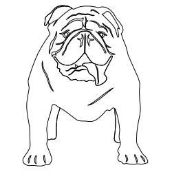 English_Bulldog_2.svg
