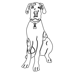 Great_Dane_2.svg