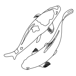 Koi_Fish_2.svg