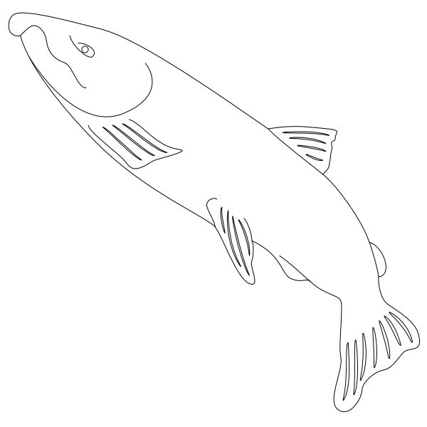 Salmon_1.svg preview