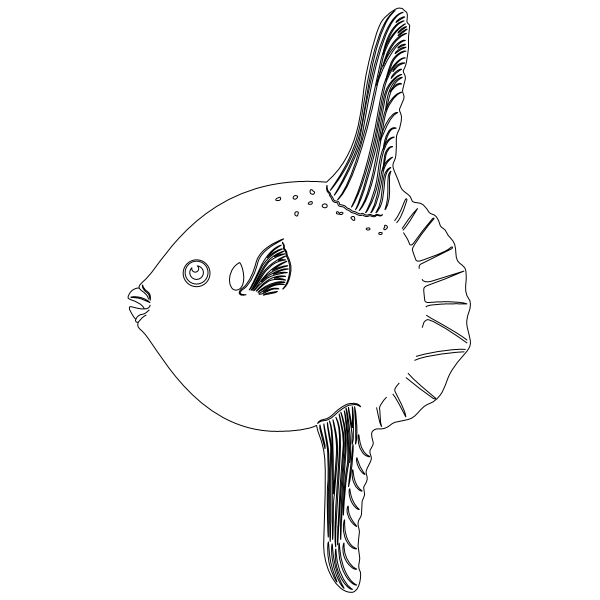 Sunfish.svg preview