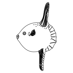 Sunfish.svg