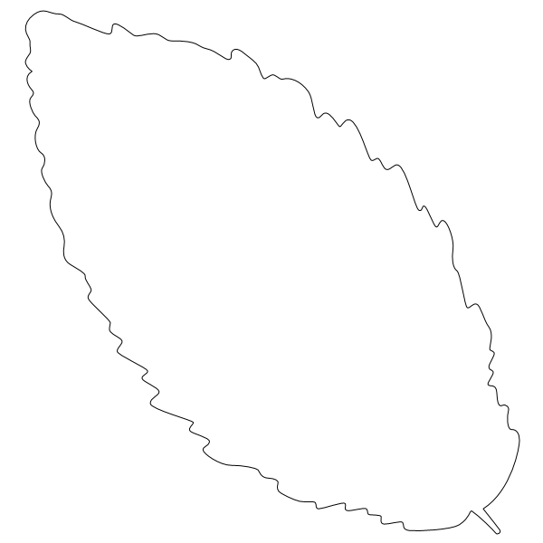 Alder_Leaf_2.svg preview