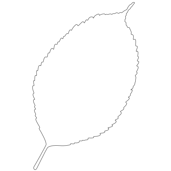 Apple_Leaf_2.svg preview