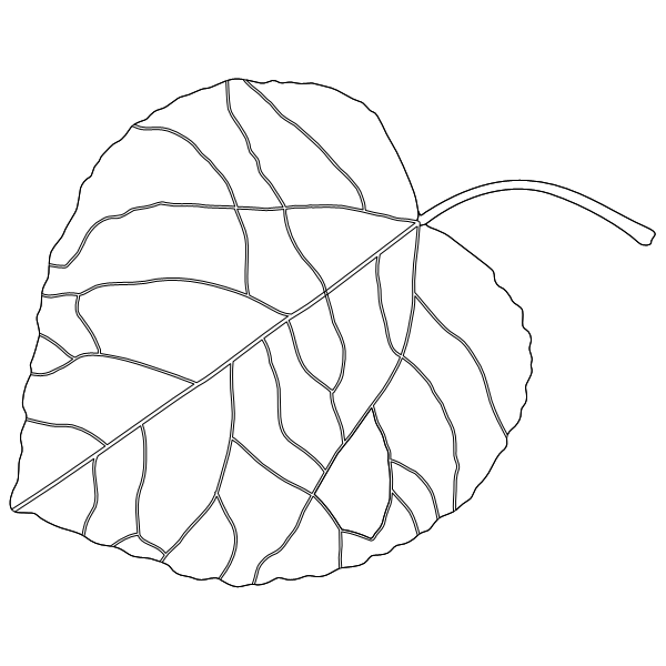 Aspen_Leaf_1.svg preview