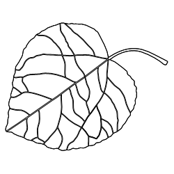 Aspen_Leaf_1.svg