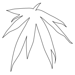 Bamboo_Leaf_2.svg