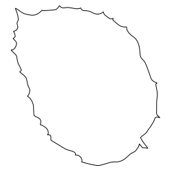 Beech_Leaf_2.svg