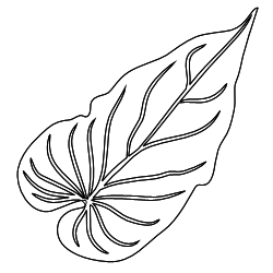 Caladium_Leaf_1.svg