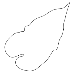 Caladium_Leaf_2.svg