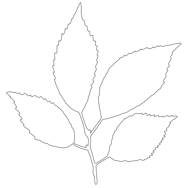 Cherry_Leaf_4.svg preview