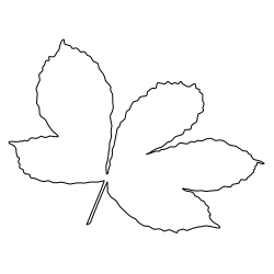 Chestnut_Leaf_1.svg