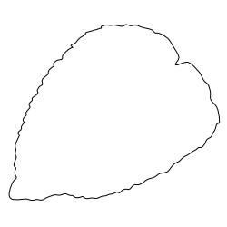 Cottonwood_Leaf_1.svg