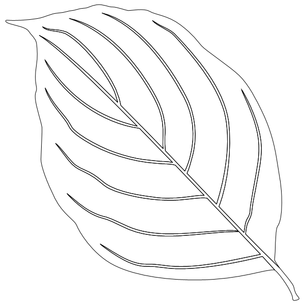Dogwood_Leaf_1.svg preview