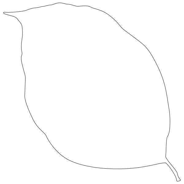 Dogwood_Leaf_2.svg preview