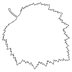 Downy_Hawthorn_Leaf_2.svg