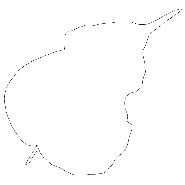 Ficus_Leaf_1.svg preview