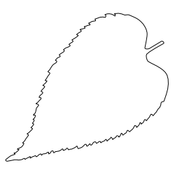 Hackberry_1.svg