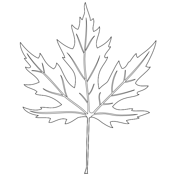 Maple_Leaf_2.svg preview