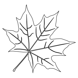 Maple_Leaf_4.svg