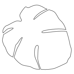Monstera_1.svg