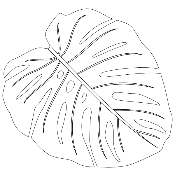 Monstera_2.svg preview