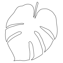 Monstera_3.svg