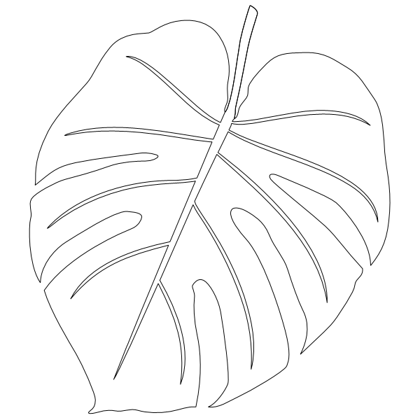 Monstera_4.svg preview