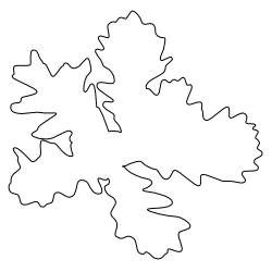 Oak_Leaf_2.svg