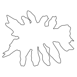 Philodendron _Leaf_2.svg