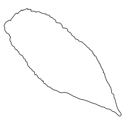 Walnut_Leaf_2.svg