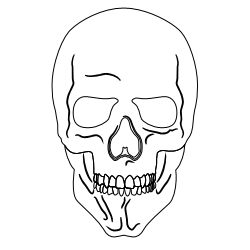Skull_1.svg