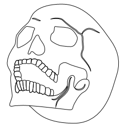 Skull_4.svg