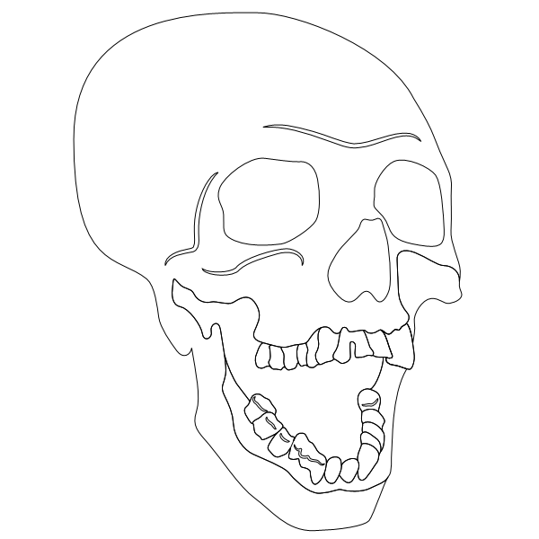 Skull_5.svg preview