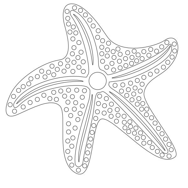 Starfish_15.svg preview