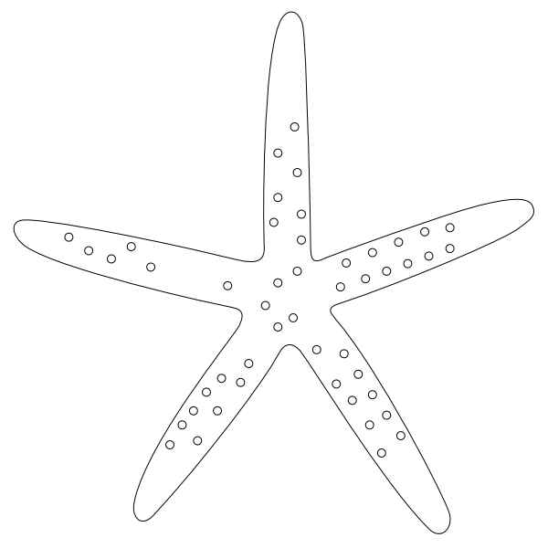 Starfish_2.svg preview