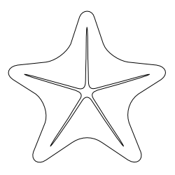Starfish_26.svg