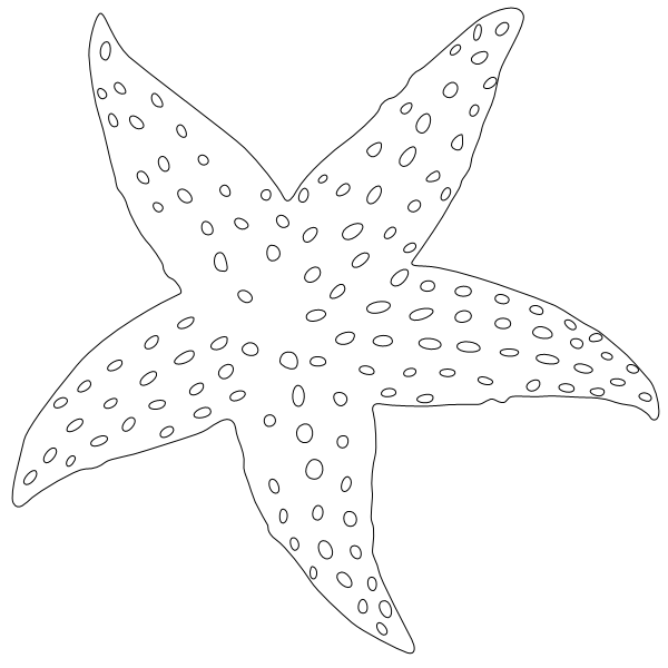 Starfish_4.svg preview