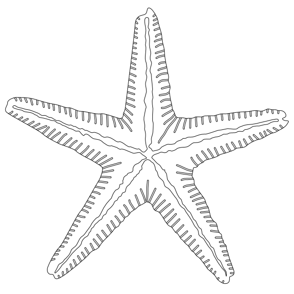 Starfish_5.svg preview
