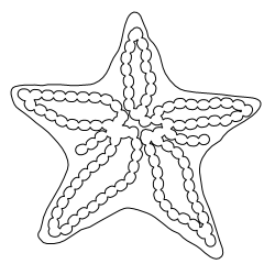Starfish_7.svg