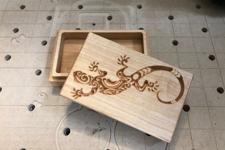 Lizard Box