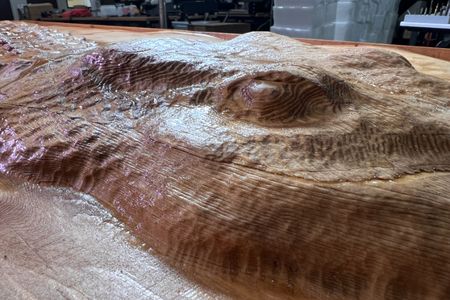 The 3D Gator Door