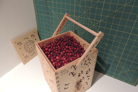 BOX FOR BERRIES