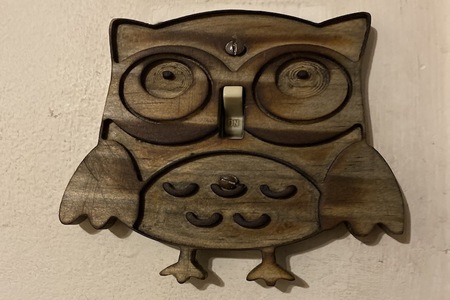 OWL LIGHT SWITCH COVER